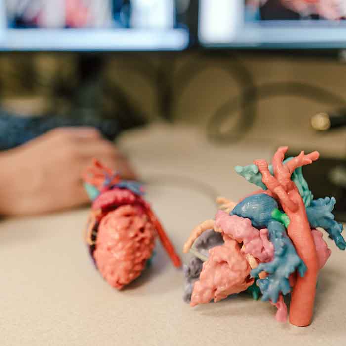 Лаборатория Phoenix Cardiac 3D Print Lab