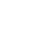 magnifier digital