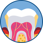Periodontitis icon