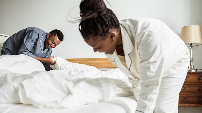 Пылевые клещи