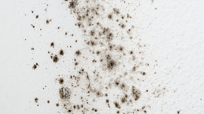 Аллергены дома